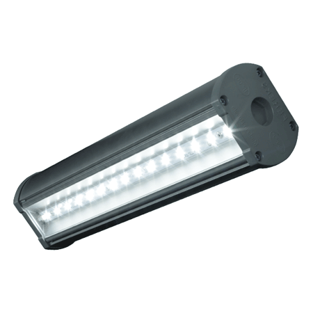 Светодиодный LED светильник для ЖКХ  Ферекс ДСО 05-12-50Д фото