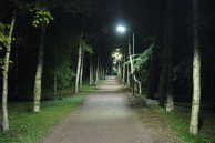 Модернизация освещения в парке "Дубки"