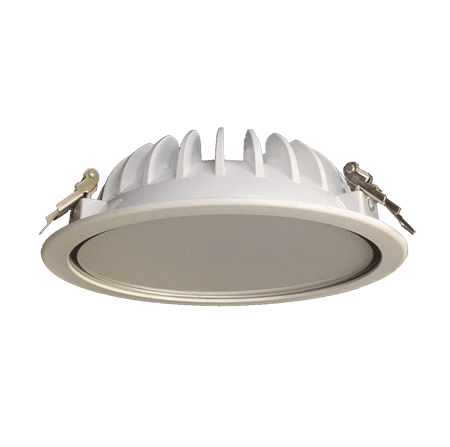 Точечный светодиодный LED светильник  Ферекс ДВО 05-33-50-Д фото